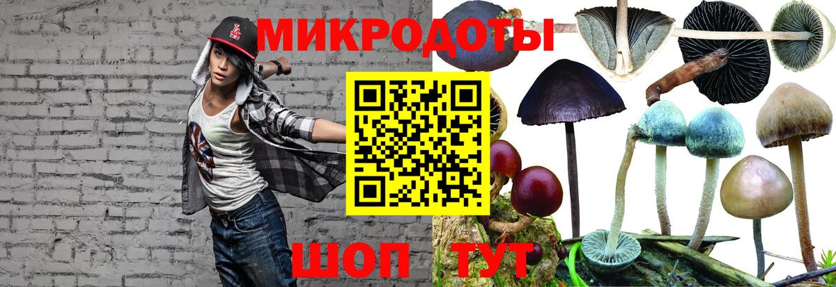 Псилоцибиновые грибы MAGIC MUSHROOMS Северск