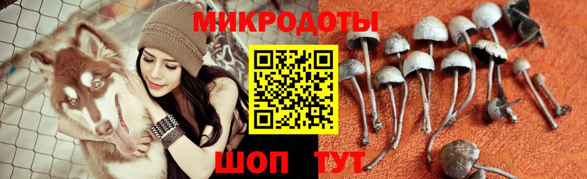 Северск  Псилоцибиновые грибы мухоморы  Псилоцибиновые грибы прущие грибы  Вход с VPN 
