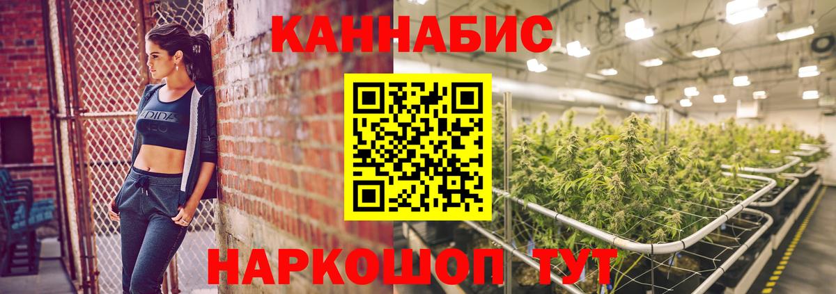 Бошки марихуана семена Северск